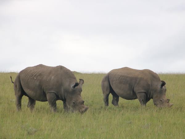 Family conservation project in South Africa
