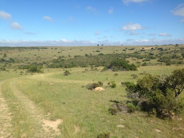 Family conservation project in South Africa
