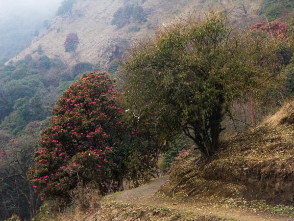 Mustang trekking vacation in Nepal