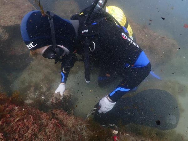 Dive to remove plastic waste from the sea in Barcelona