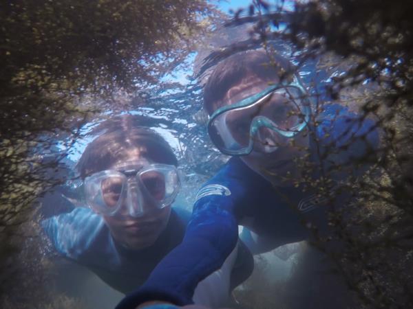 Dive to remove plastic waste from the sea in Barcelona