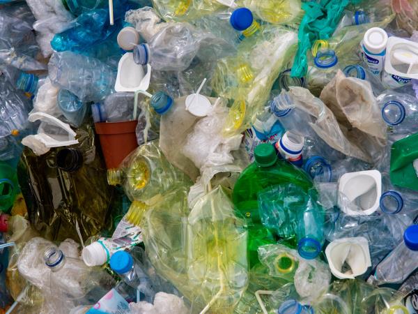 Dive to remove plastic waste from the sea in Barcelona
