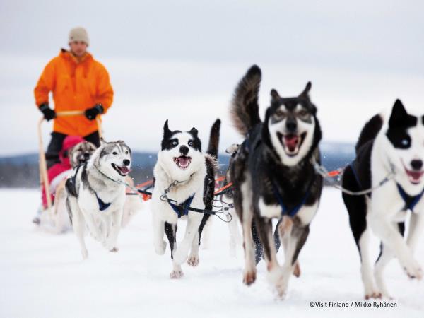 Finland husky safari vacation
