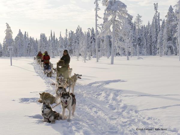 Finland husky safari vacation