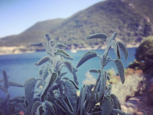 Gastronomy and sailing vacation in Greece