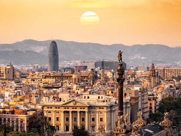 Volunteer with cats and dogs in Barcelona