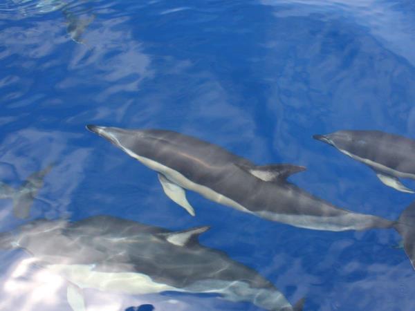 Azores island hopping holiday