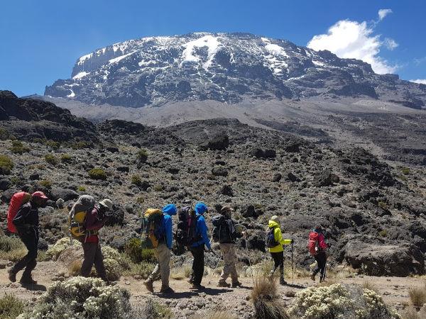 Kilimanjaro climbing expedition vacation