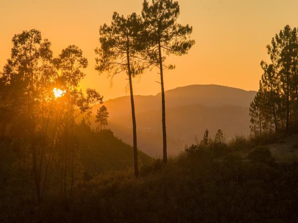 Yoga vacation in Portugal