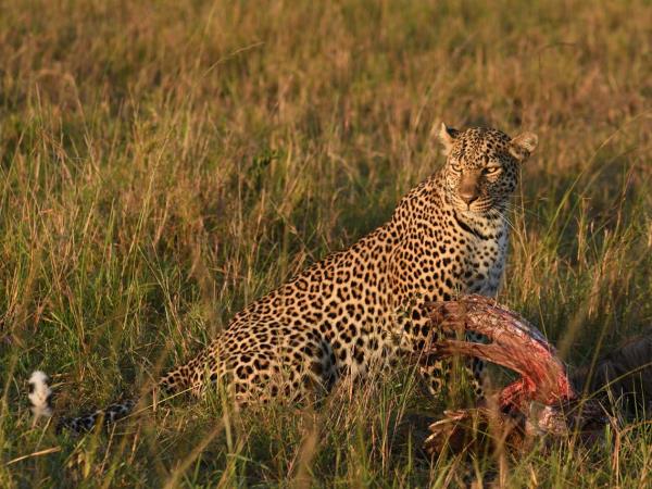 Best of Tanzania tailor made vacation