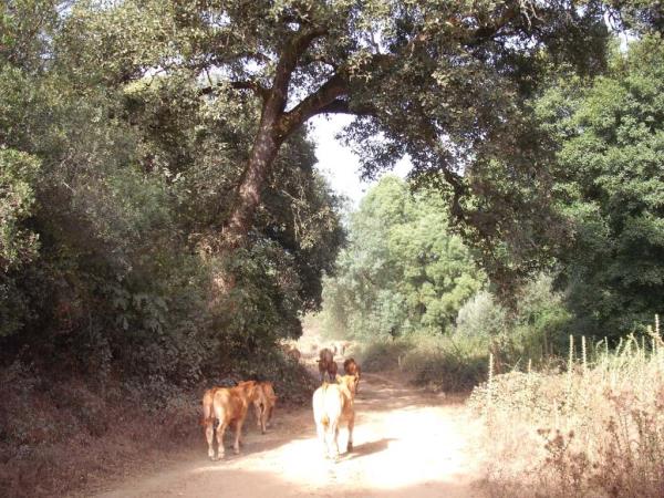Self-guided walking holiday in Alentejo, Portugal