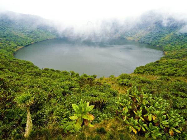 3 Day Gorilla trekking vacation in Rwanda