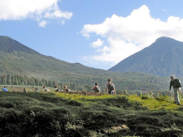 3 Day Gorilla trekking vacation in Rwanda