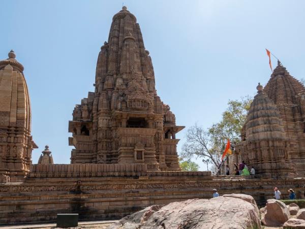 India culture and wildlife vacation
