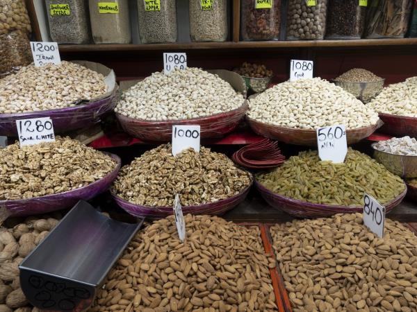 India culture and wildlife vacation