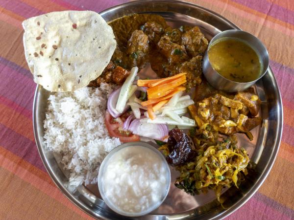 India culture and wildlife vacation