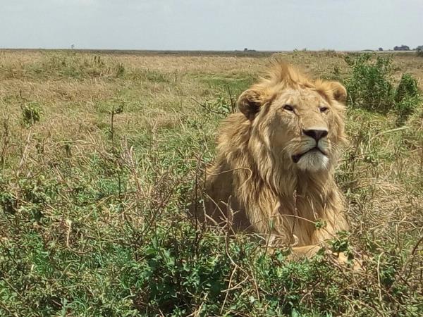 Highlights of Tanzania tailor made vacation