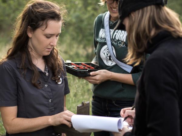 Wildlife conservation course in South Africa