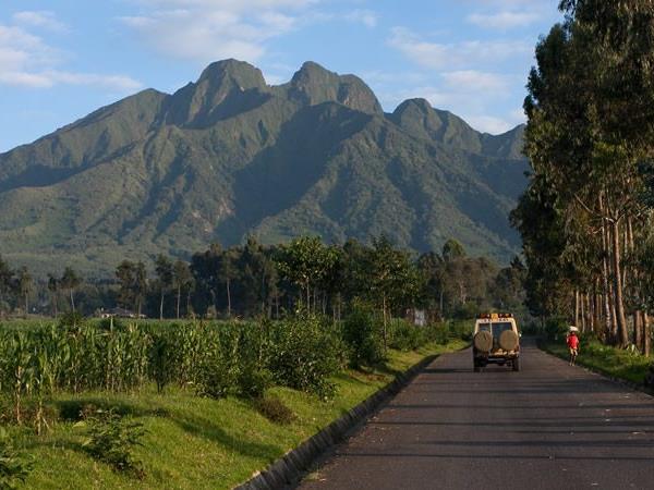 Rwanda tour and luxury gorilla safari