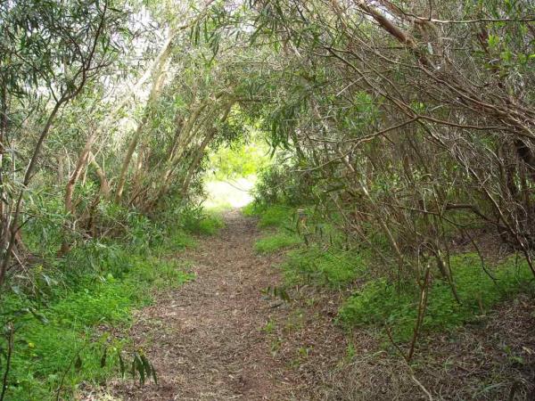 Alentejo walking vacations in Portugal