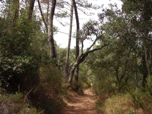 Alentejo walking vacations in Portugal