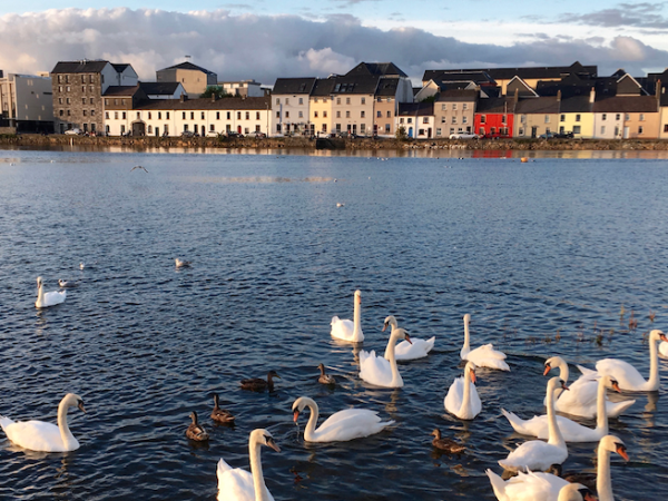 Connemara Express cycling tour in Ireland