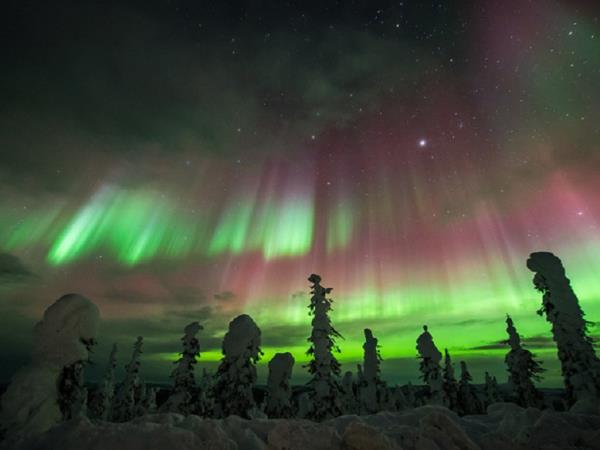 Northern Lights in Lapland vacation
