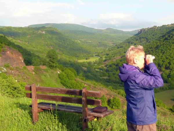 Brown bear tracking in Northern Greece