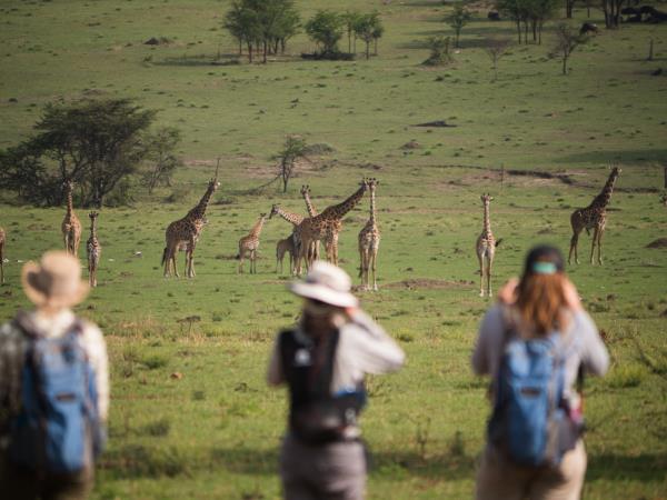 Tanzania multi activity safari vacation
