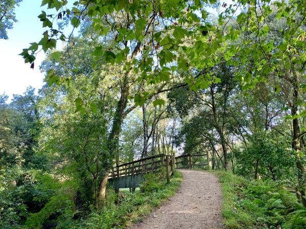 French Way and Finisterre Way walking vacation