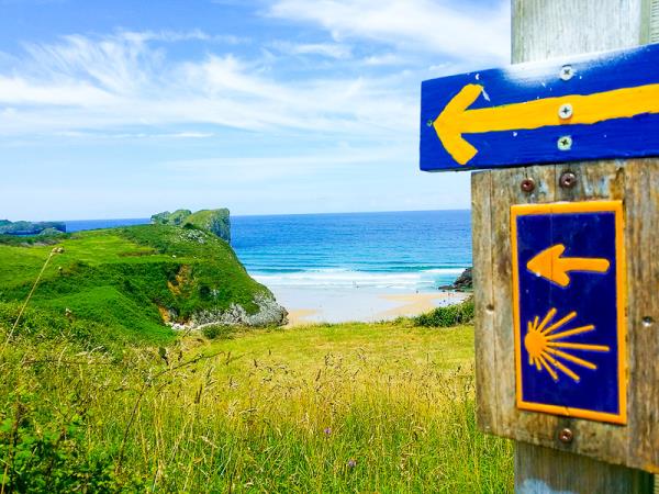 Picos de Europa National Park & Northern Way walking vacation