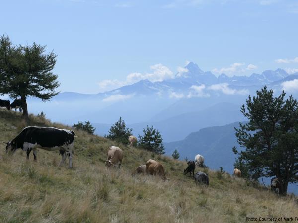 Italian Alps walking and cooking vacation