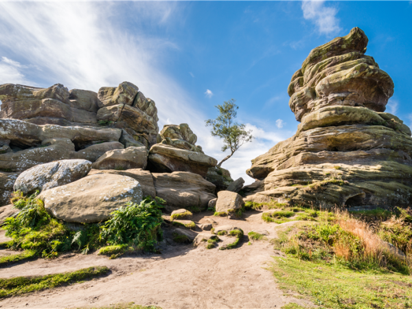 The Nidderdale Way walking vacation in Yorkshire, UK