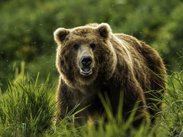Kamchatka photography vacation in Russia