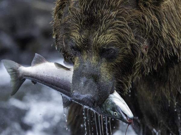 Kamchatka photography vacation in Russia