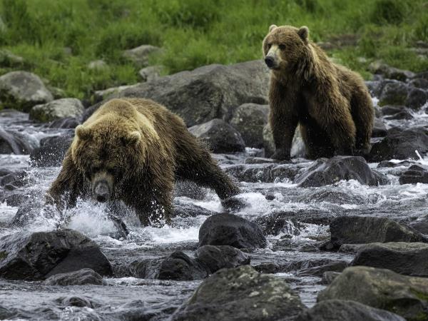 Kamchatka photography vacation in Russia