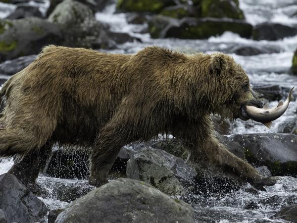 Kamchatka photography vacation in Russia