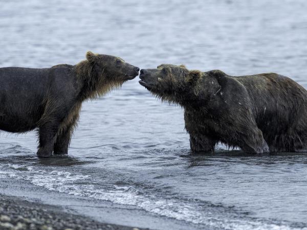 Kamchatka photography vacation in Russia