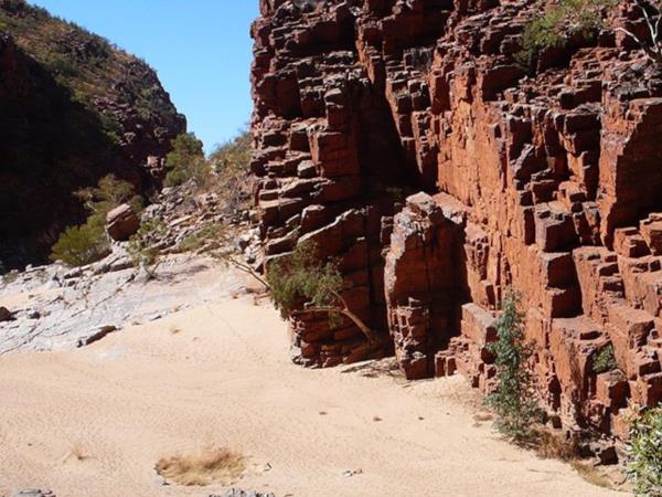 5 day Larapinta Trail trek in Australia