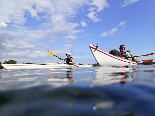 Kayaking in Sweden, foraging and food