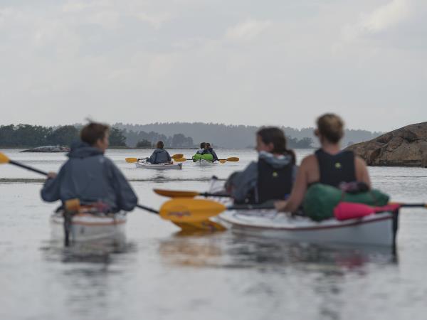 Kayaking in Sweden, foraging and food