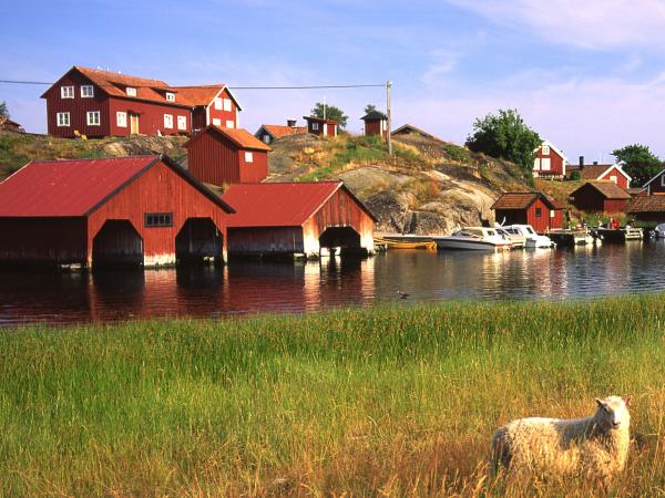 Sweden kayaking and food vacation