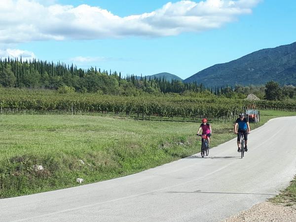 Croatia biking vacation, Dalmatian wine roads