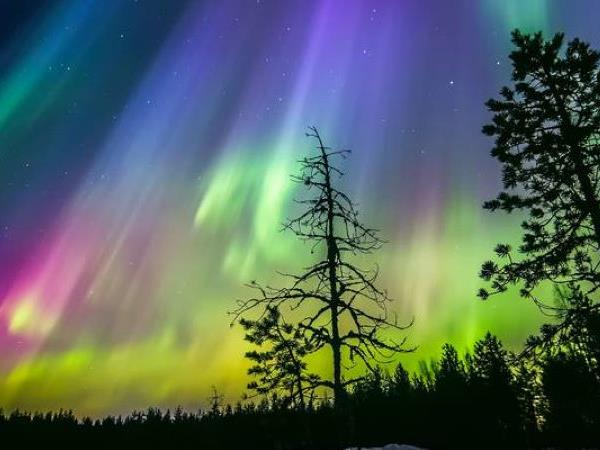Lapland activity vacation