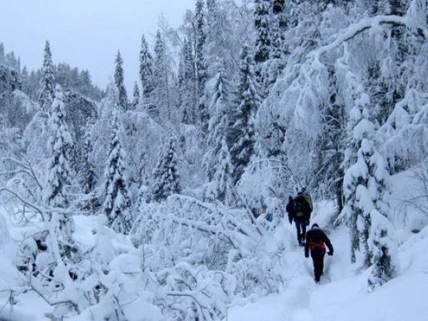 Lapland activity vacation