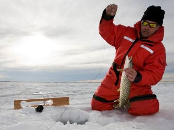 Lapland activity vacation