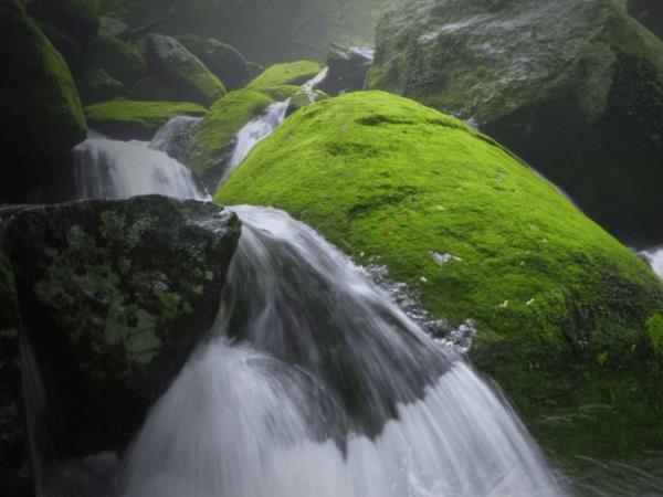 Ryukyu Islands tour, off the beaten track in Japan