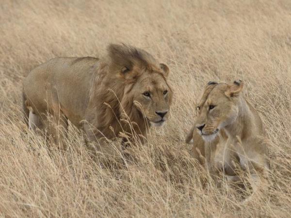 Biking vacation in Kenya & Tanzania