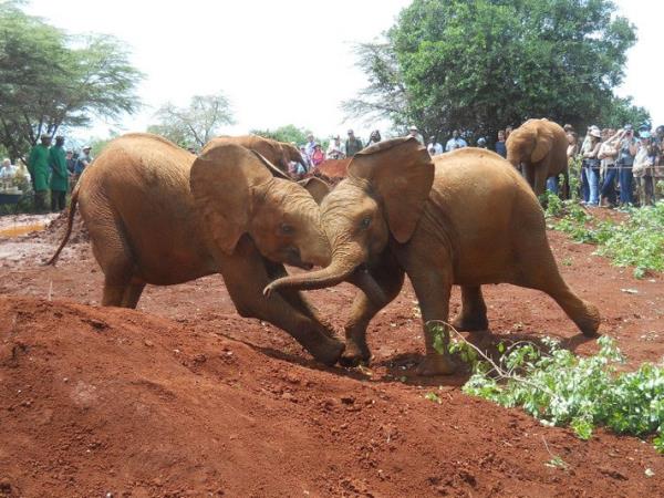Biking vacation in Kenya & Tanzania