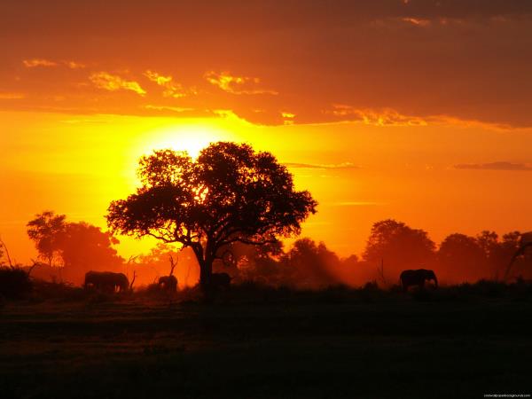 Tanzania tour with Kilimanjaro day trek